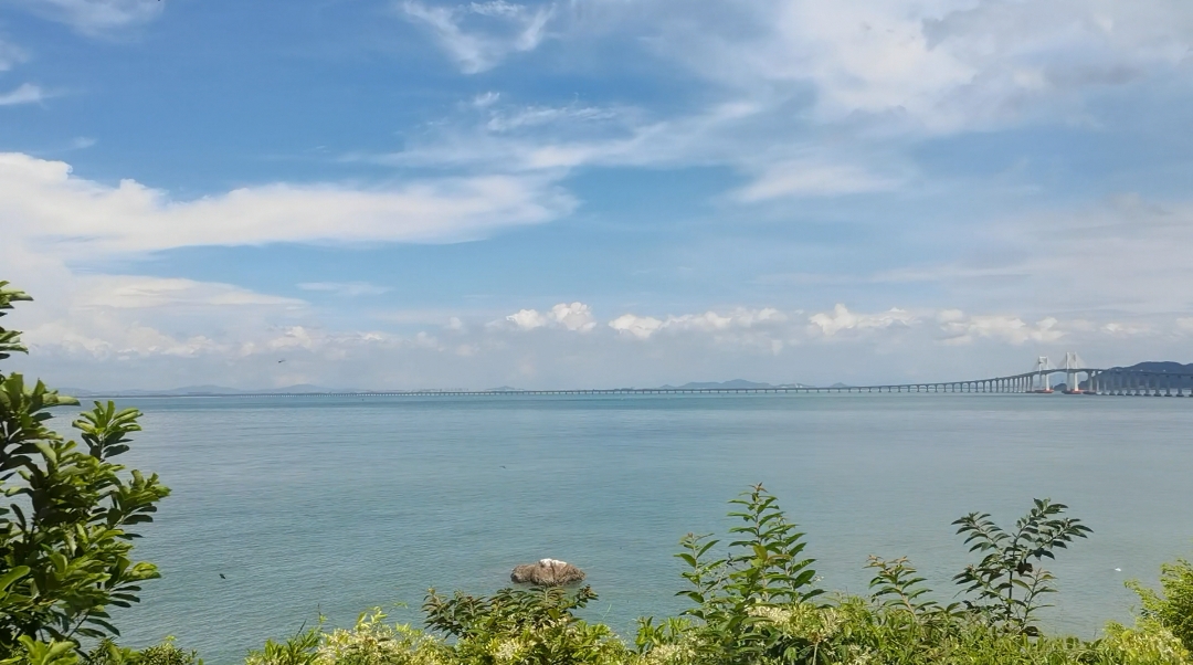 SSL证书更新记录（2026.1.25）